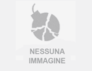 Vendo di coniglio nano